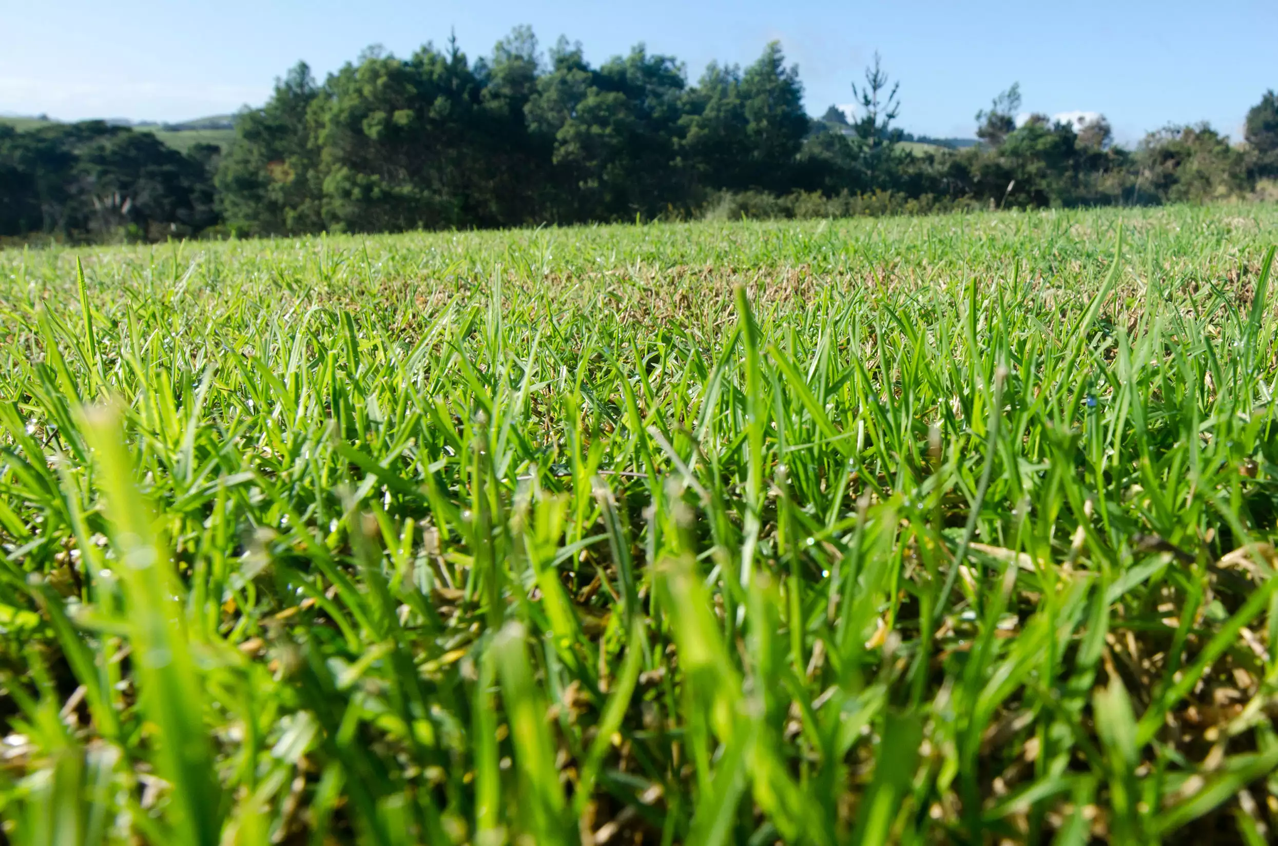 Pourquoi construire avec Demeures d'Aquitaine ?