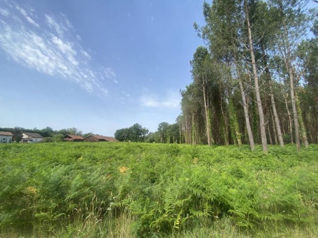 Terrain a vendre 900 m2 33160 Saint Aubin de Medoc